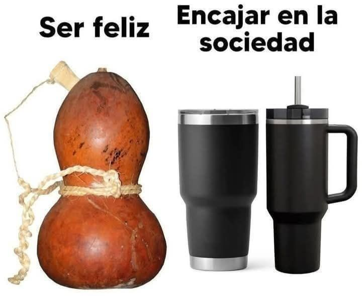 Rincón Curioso tweet media