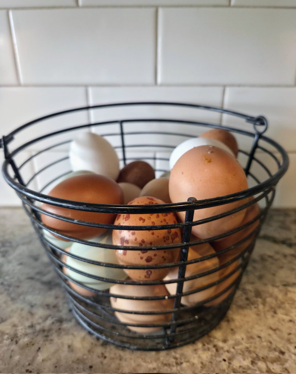 UG DoC V tweet media