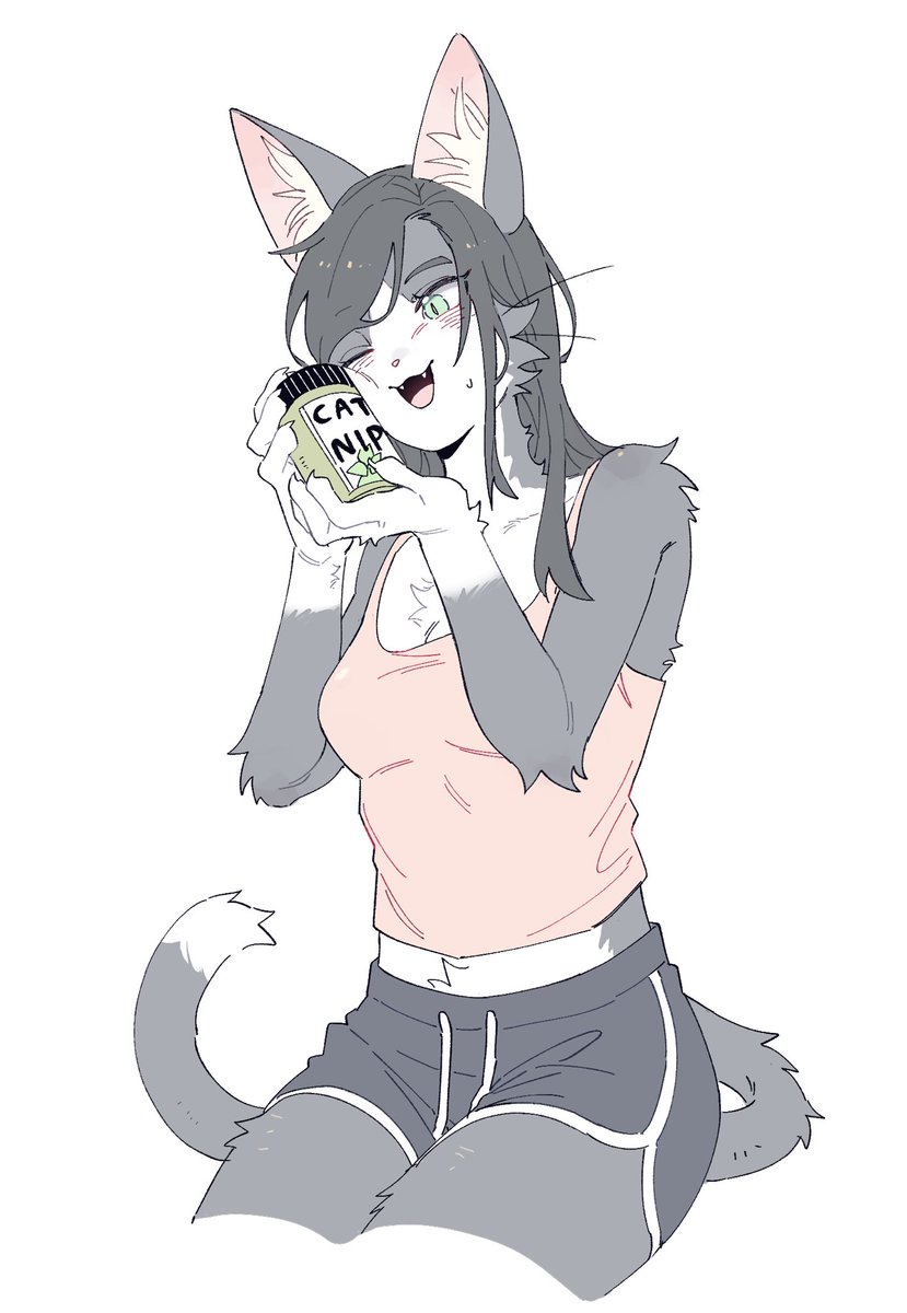 늑대범고래 tweet media