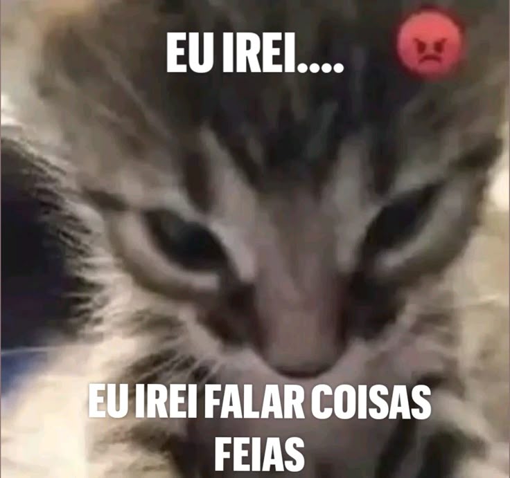 Mithizinho tweet media