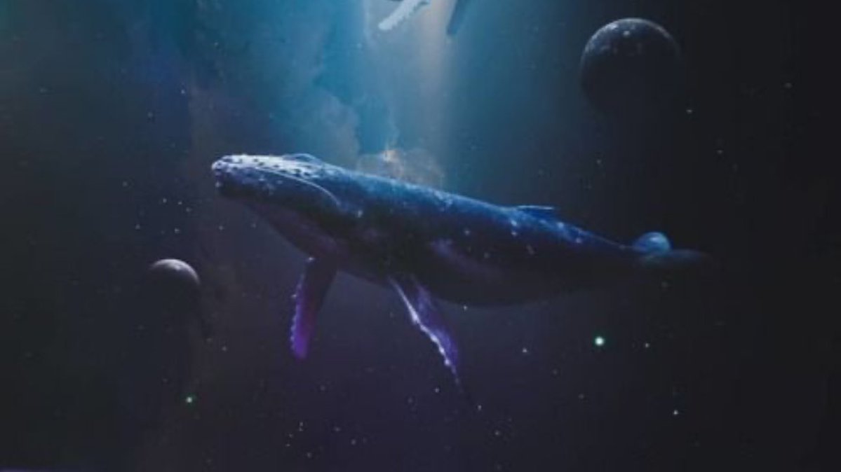 Nick Hinton tweet media