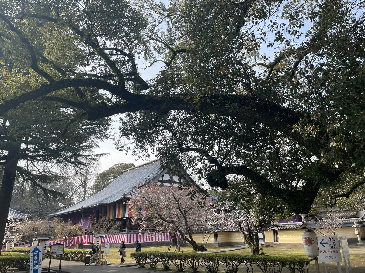 光誉祐華(こうよゆうか) tweet media