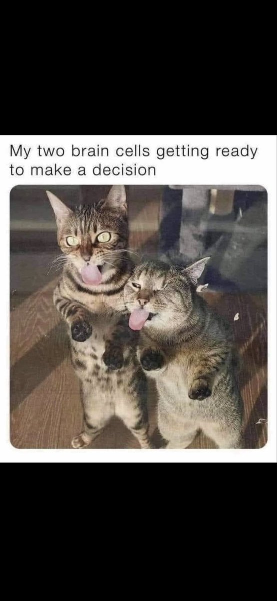 Hircum Pak tweet media