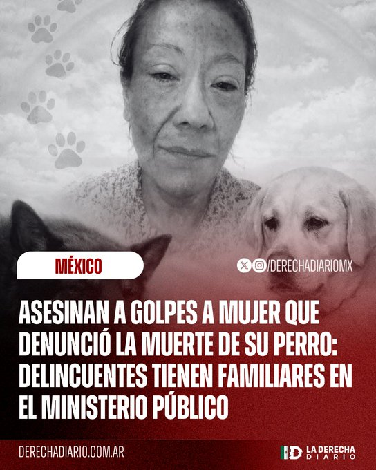 Iustitia México tweet media