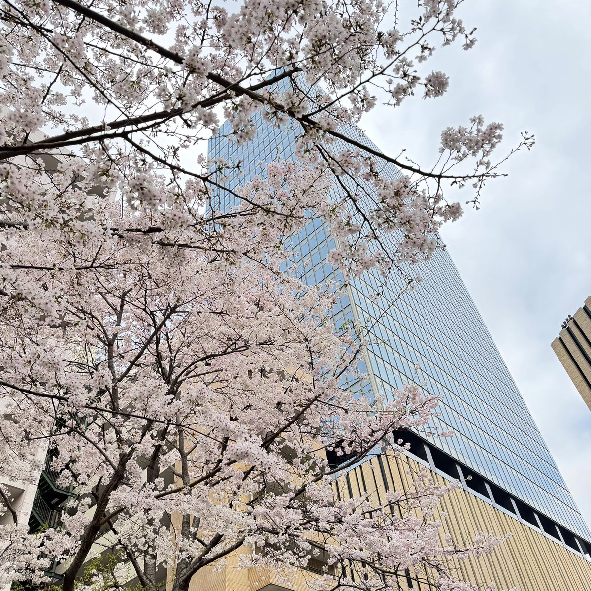 -池袋オタク向け美容室- OFF-KAi!!IKEBUKURO tweet media