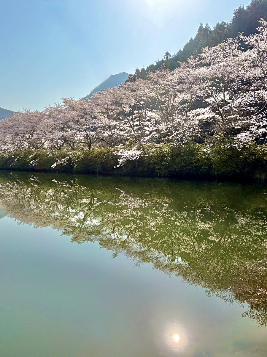 Take on mon（タケオンモン） tweet media