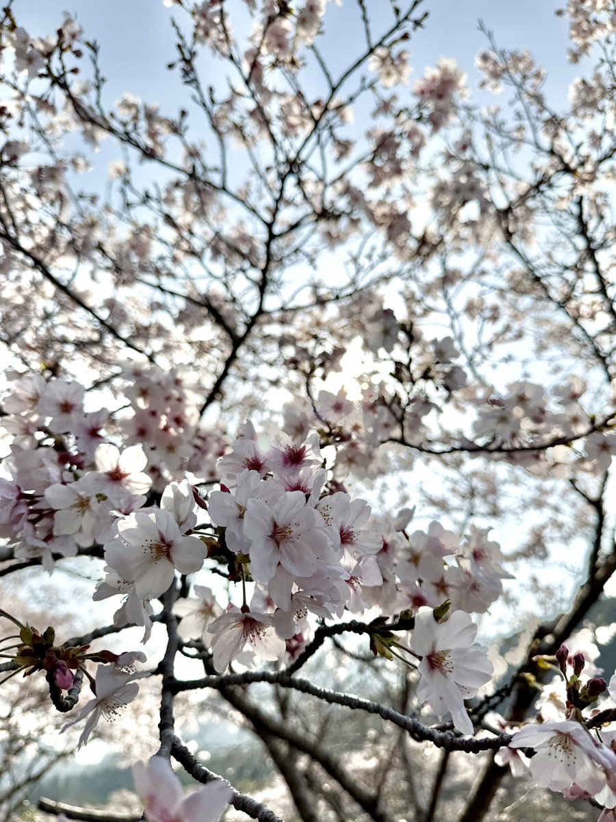 Take on mon（タケオンモン） tweet media