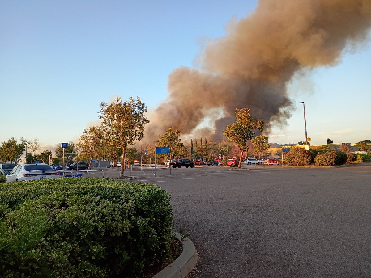 Michael Williams tweet media