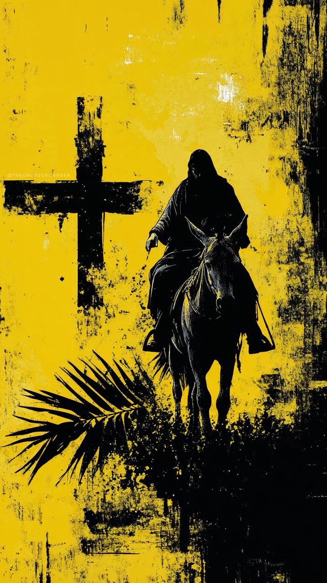 𝐍𝐢𝐠𝐞𝐥 𝐊𝐞𝐥𝐥𝐬 tweet media