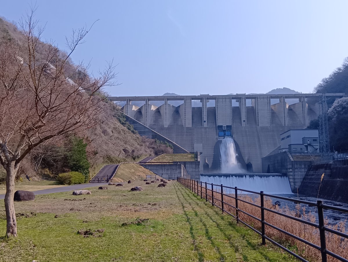 MlitTomata's tweet photo. 苫田ダム・奥津湖周辺では桜が咲き始めています🌸
まだつぼみの状態の木が多いので
咲いてくるのはこれからのようです👉
奥津湖周辺にも桜が多く咲きますので
ぜひお越しください🌸🌸🌸 https://t.co/HLub2UFRhh