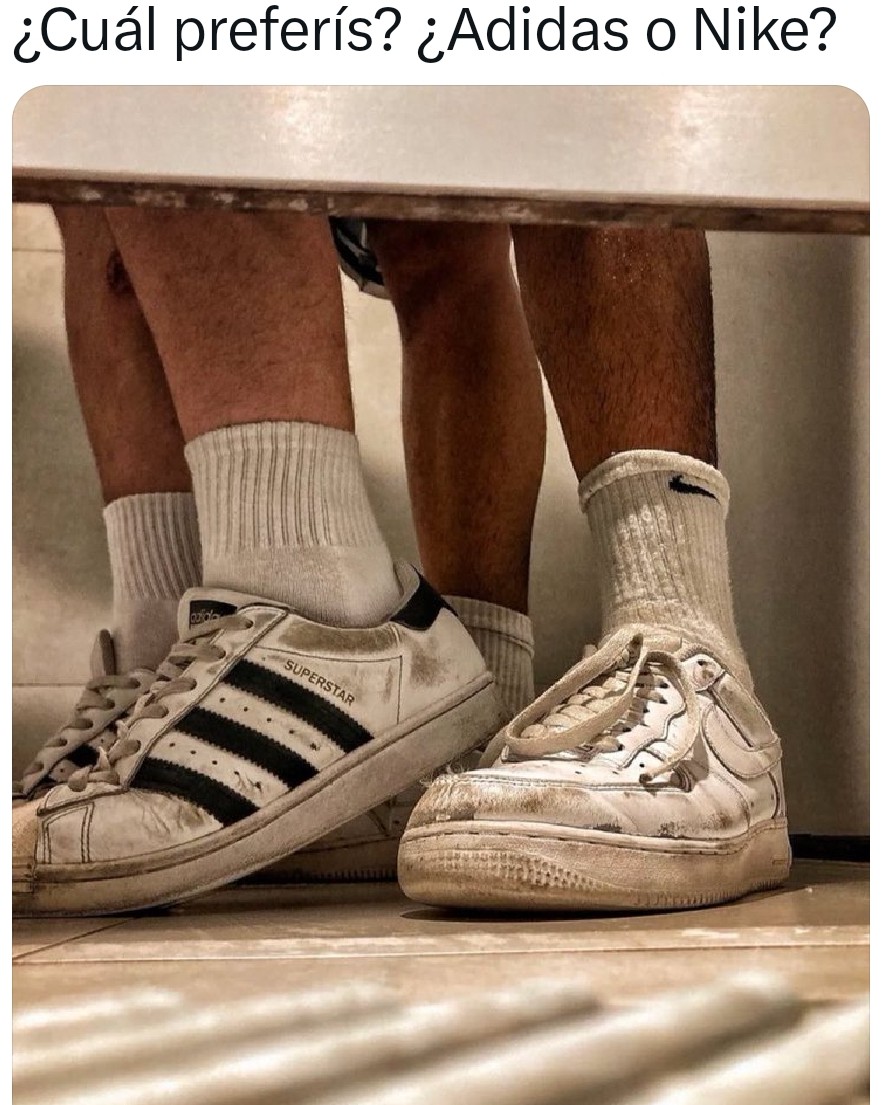 🫧 Go Diego Go 🐾 tweet media