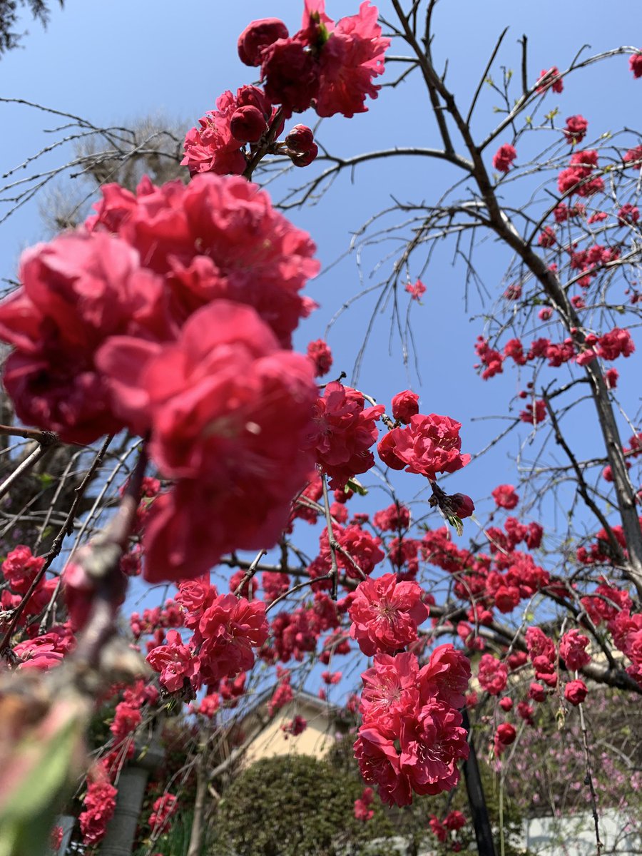 鈴木結女👽 tweet media