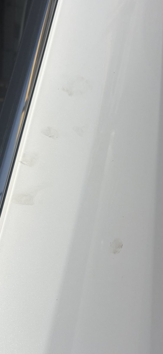 Zainツ #MBS tweet media