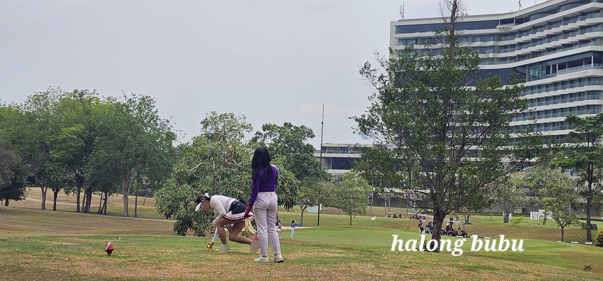 하롱부부 tweet media