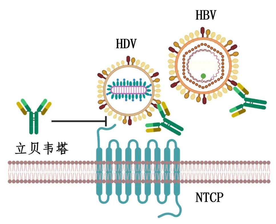 China Science tweet media