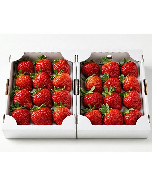 極上・産直クラブ 🎖️ 選ばれし食卓 tweet media