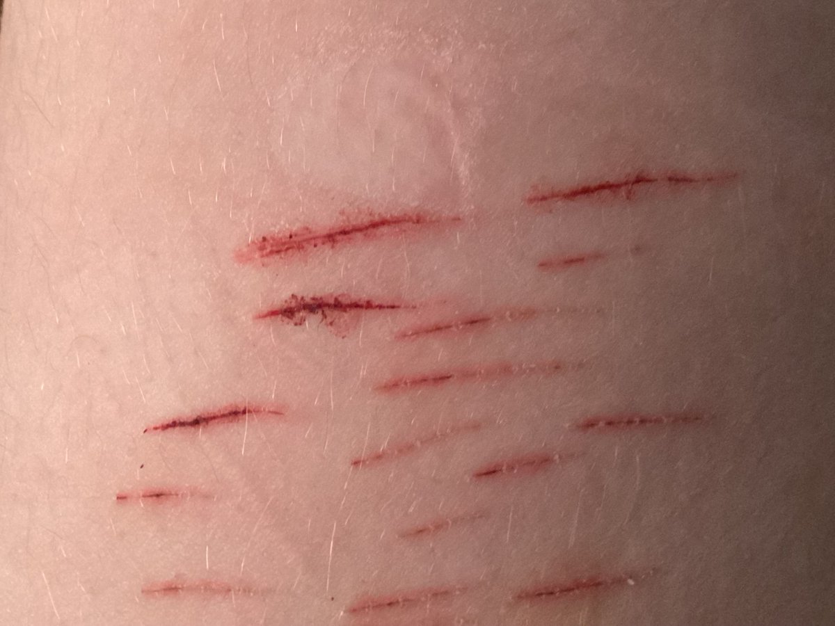 Lucifer of Shtwt (dm me the word deer) tweet media