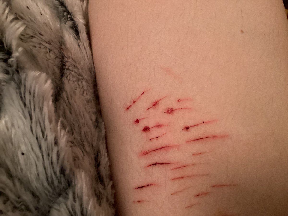 Lucifer of Shtwt (dm me the word deer) tweet media