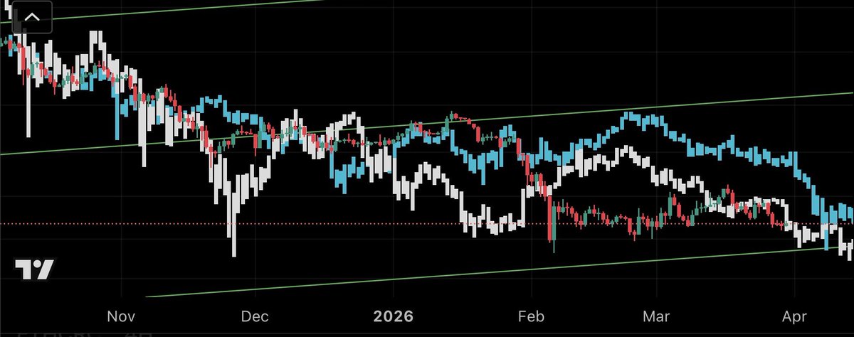 Łɪᴛᴏ tweet media