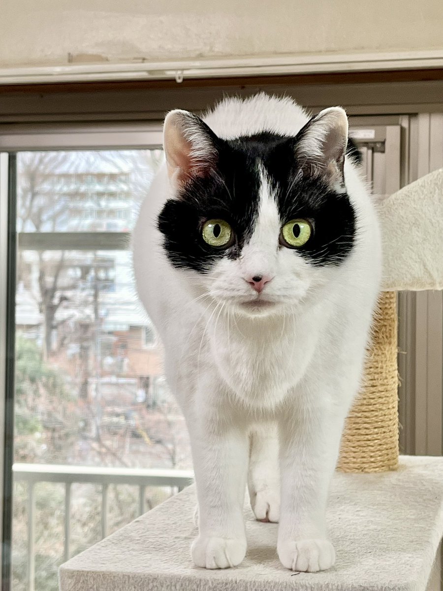 moegi0218@5/5.6 artevarie tweet media