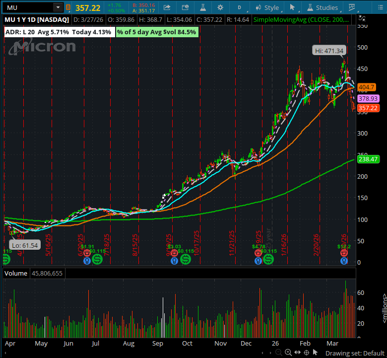 Dainty Dips tweet media