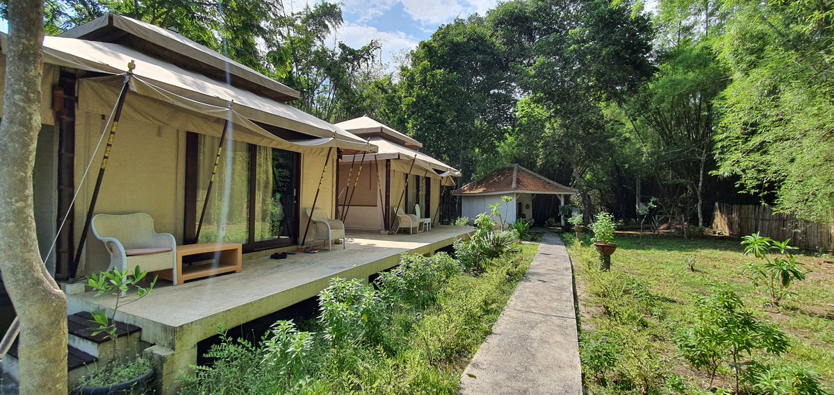 Angin Senja tweet media