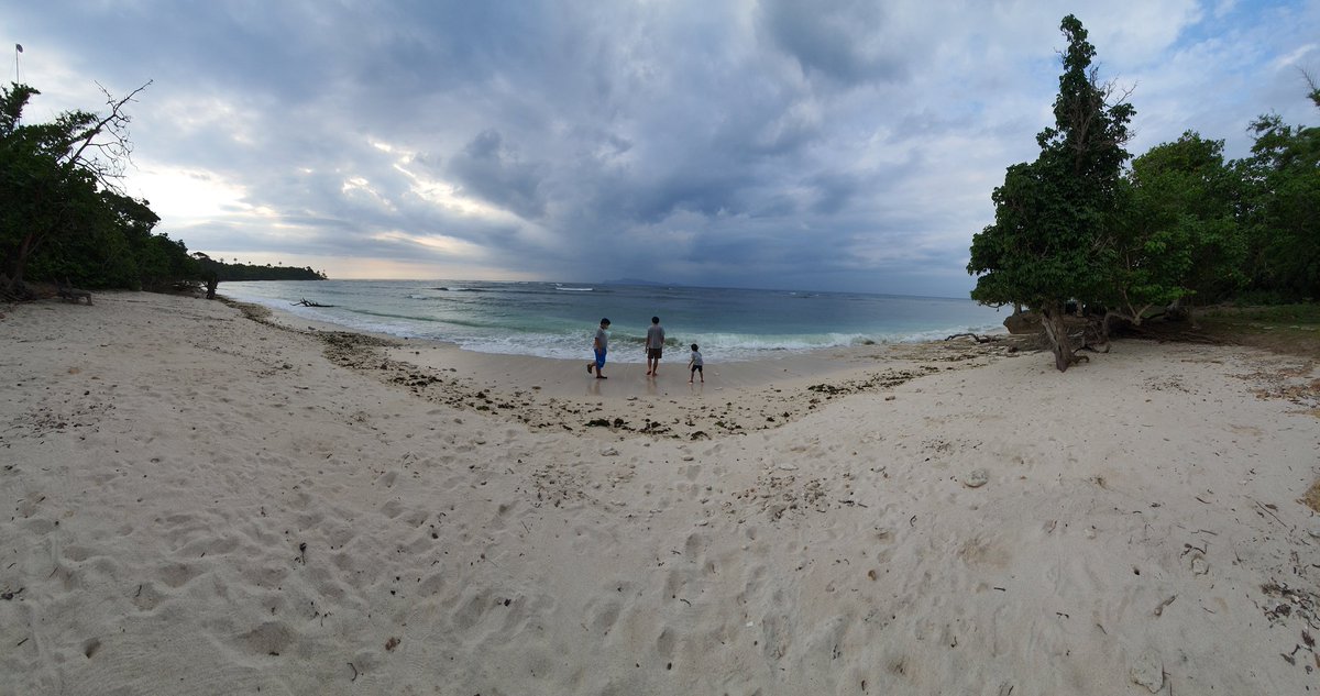Angin Senja tweet media