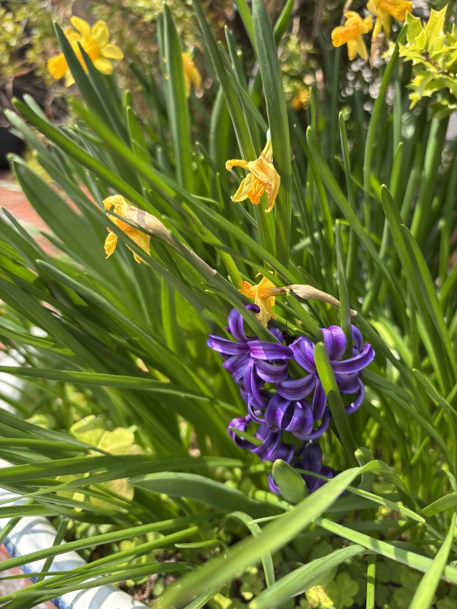 カフェミィチョ〜roast&suply〜/龍 tweet media