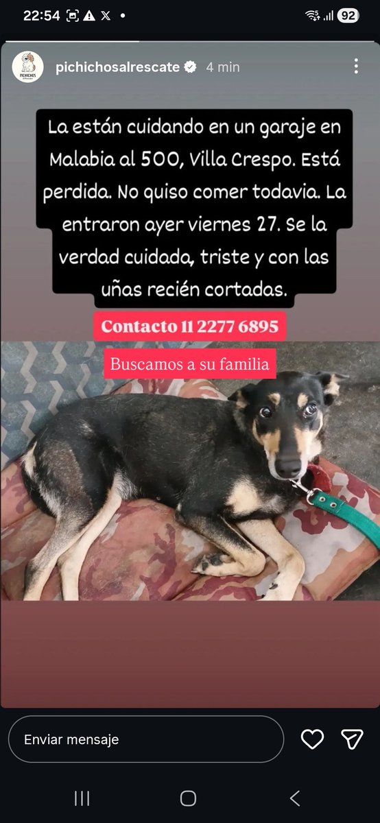 𝑷𝒂𝒖𝒍𝒚 💜 𝑂𝑗𝑜𝑠 𝑑𝑒 𝑣𝑖𝑑𝑒𝑜 𝑡𝑎𝑝𝑒 🎶 tweet media