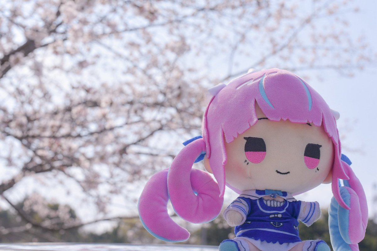 せーや tweet media