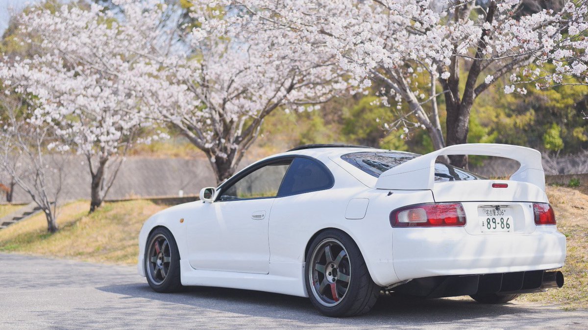 せーや tweet media