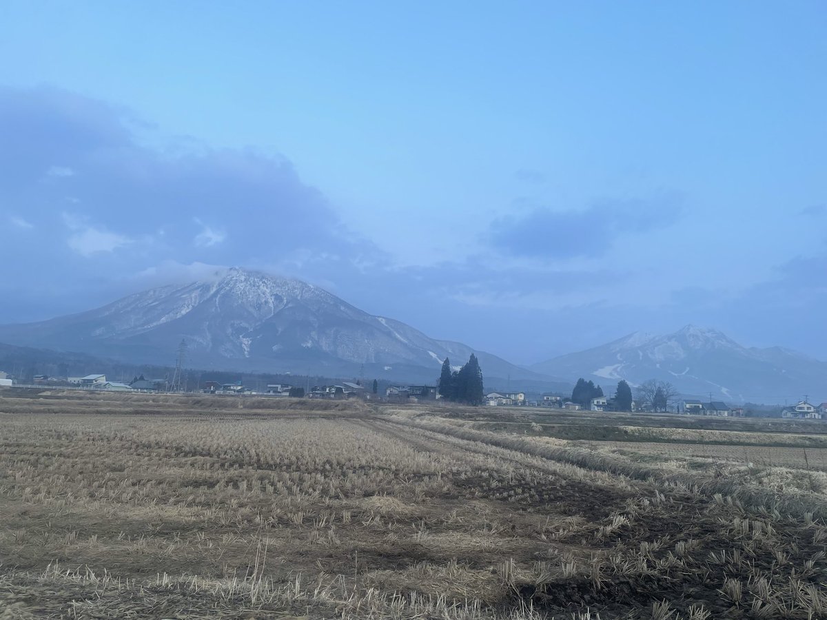 めぐめぐ tweet media