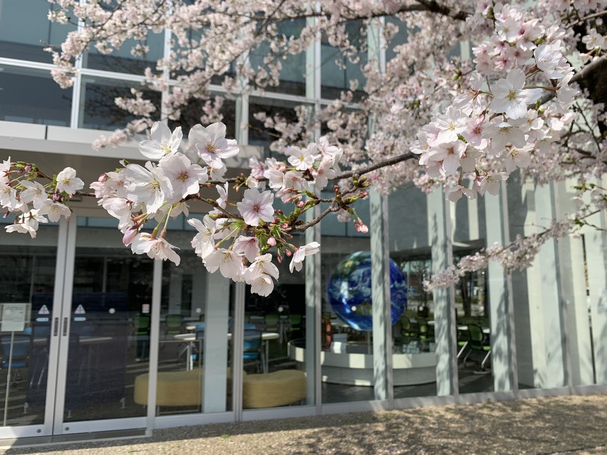 京都先端科学大学（KUAS） tweet media