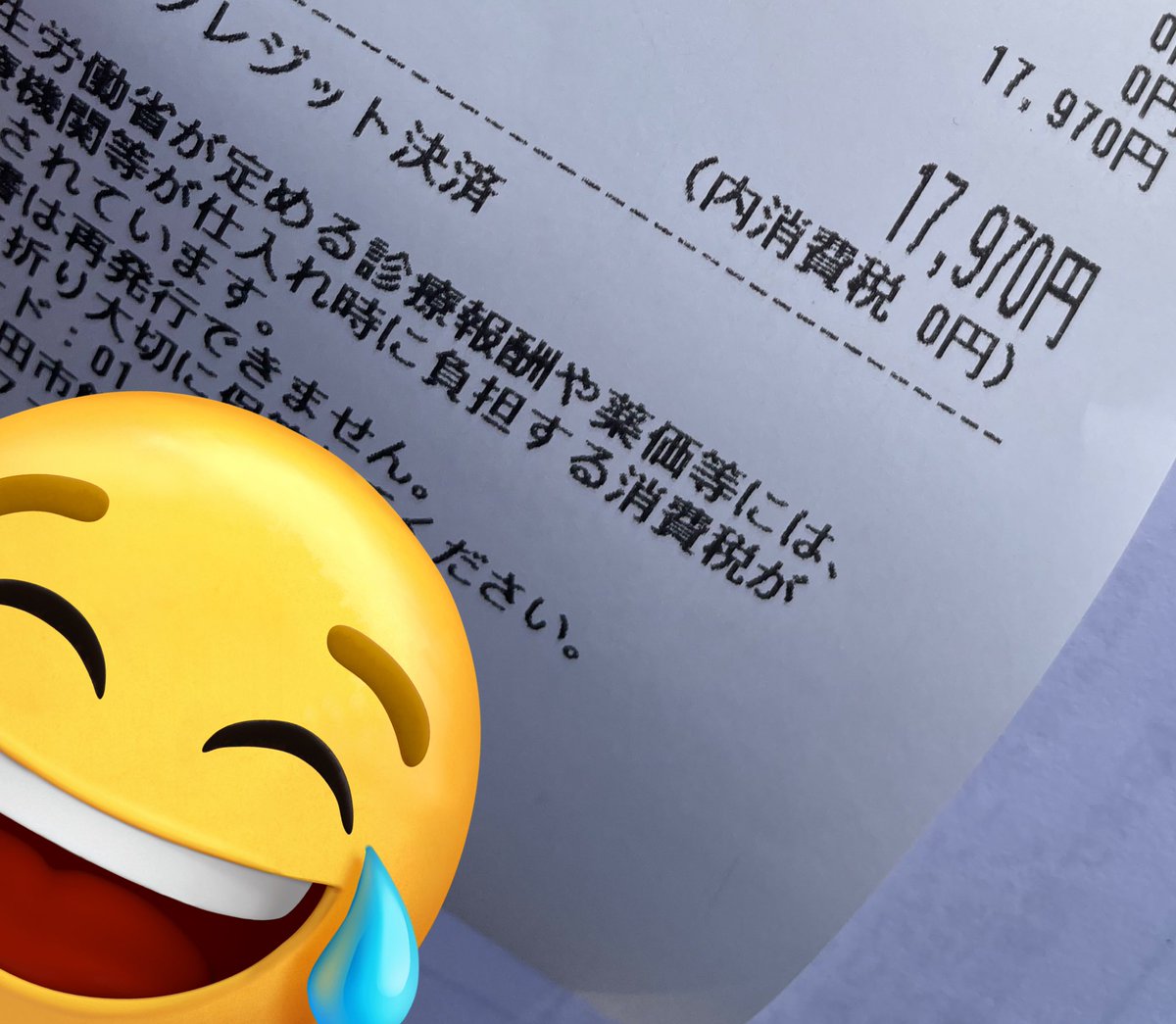 いもにゃんの日常 tweet media