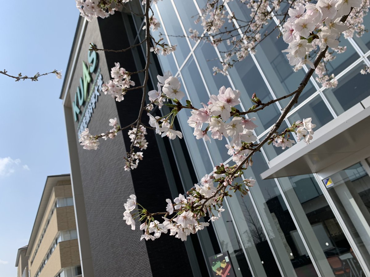 京都先端科学大学（KUAS） tweet media