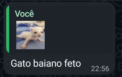Gato Baiano tweet media
