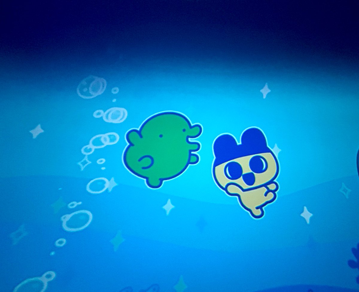 ぱっち tweet media