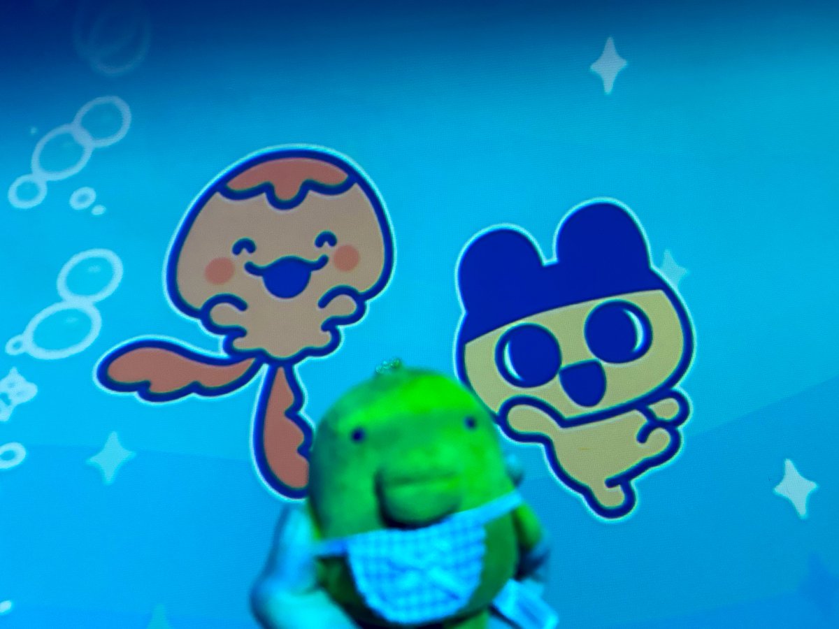 ぱっち tweet media