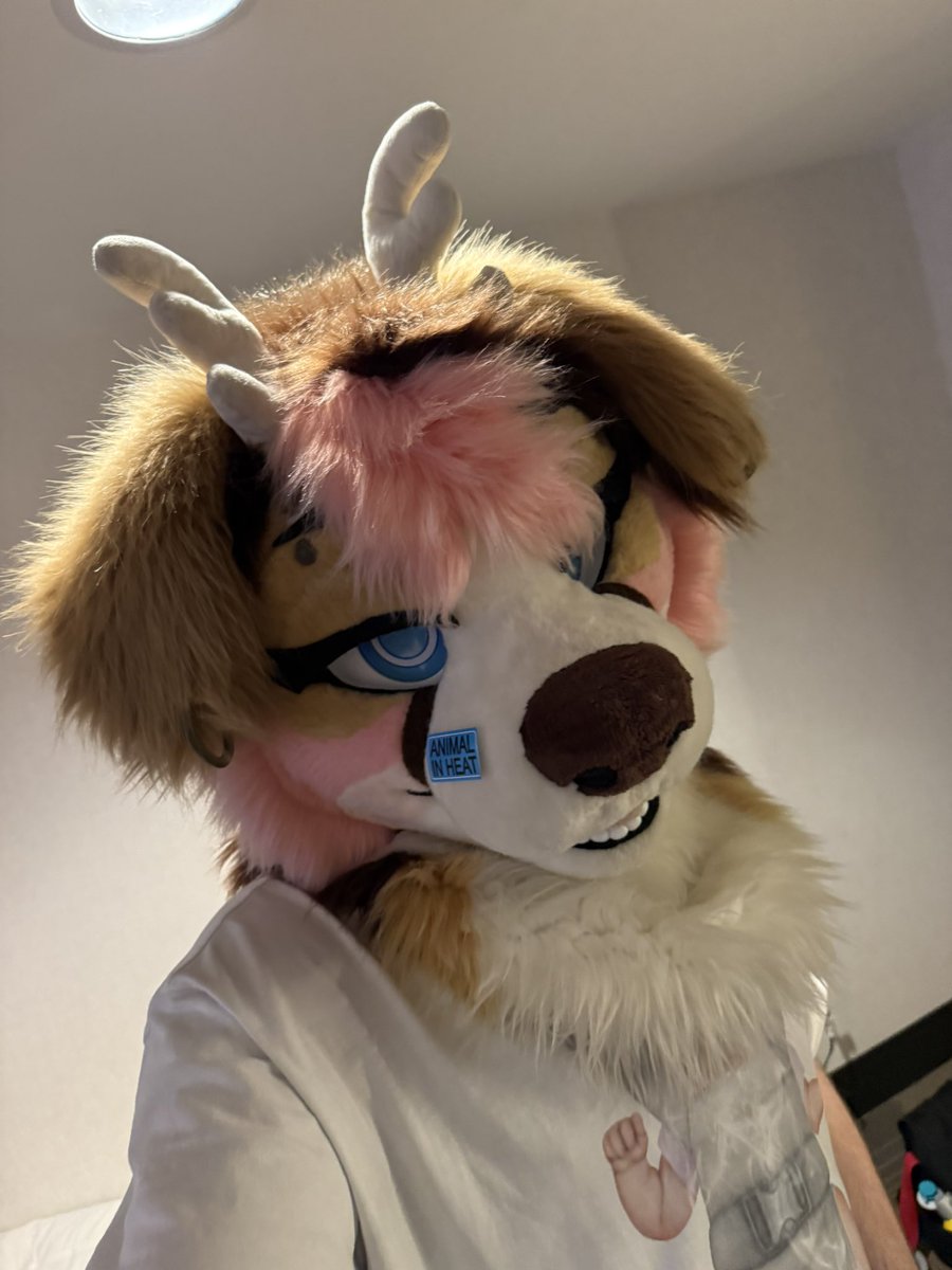 🦴Burning_Sea 🔜LVFC,TFF,FWA tweet media