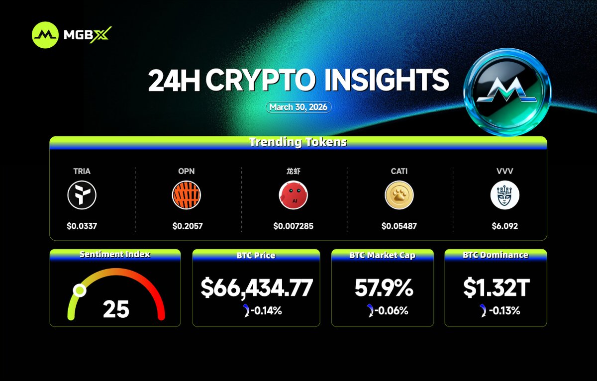 MGBX_Global tweet media