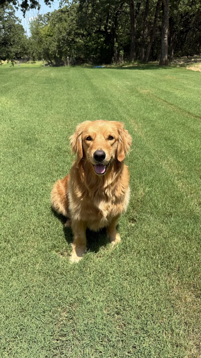 Jill Crawford | UGC 💎 tweet media