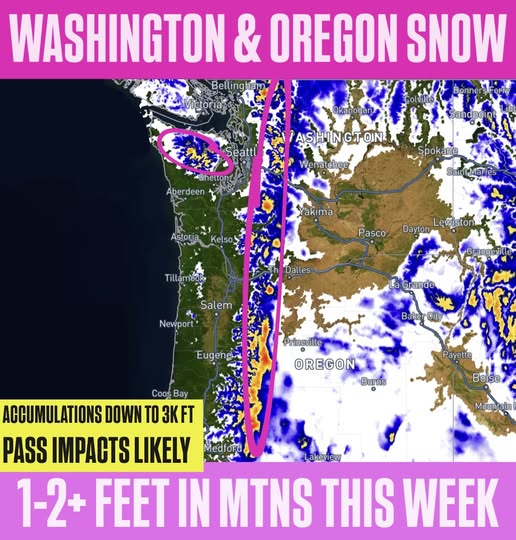 FireCapt404 tweet media