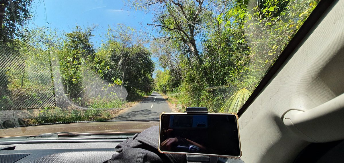 Angin Senja tweet media