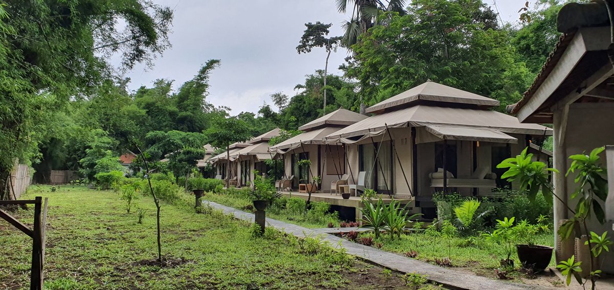 Angin Senja tweet media