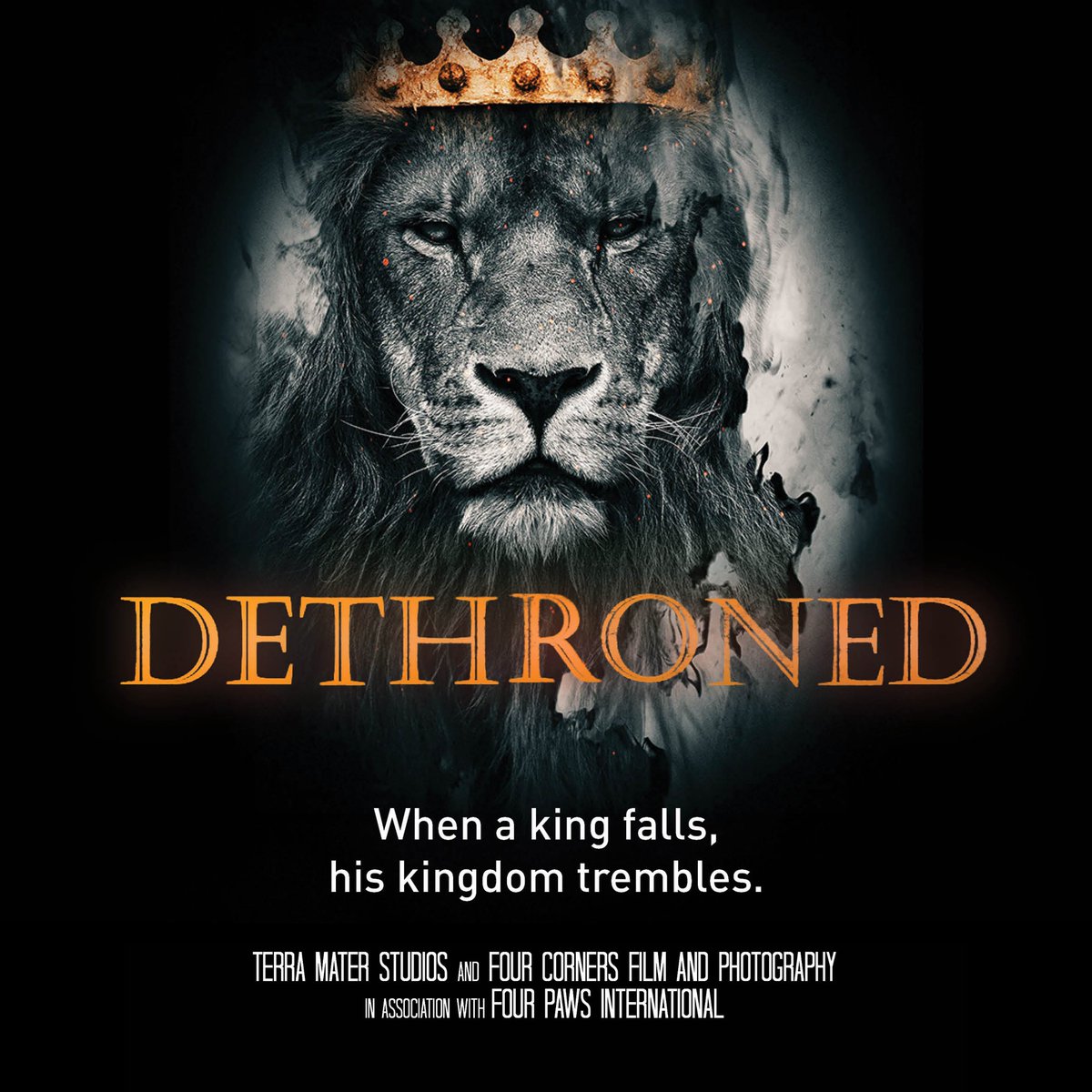 FOUR PAWS Australia tweet media