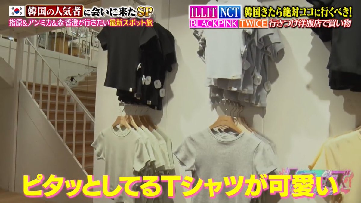 ｱﾙﾏﾝﾄﾞﾝ tweet media