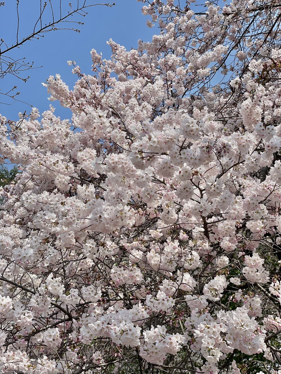 CLINKS広報担当【公式】 tweet media