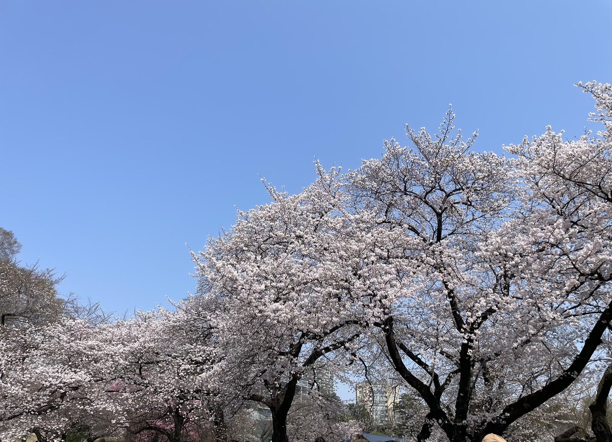 CLINKS広報担当【公式】 tweet media