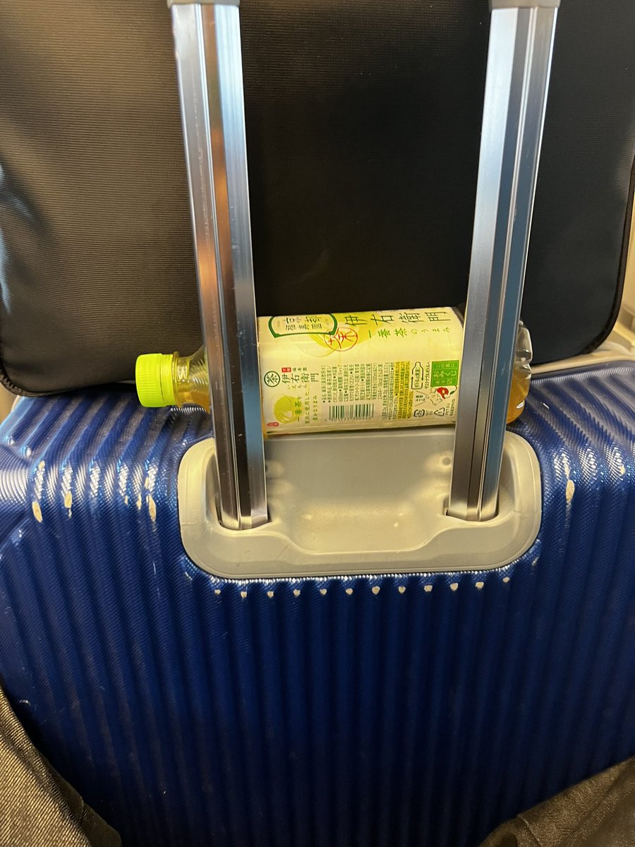 キョンシー蜂丸(昆虫ハウス101号室) tweet media