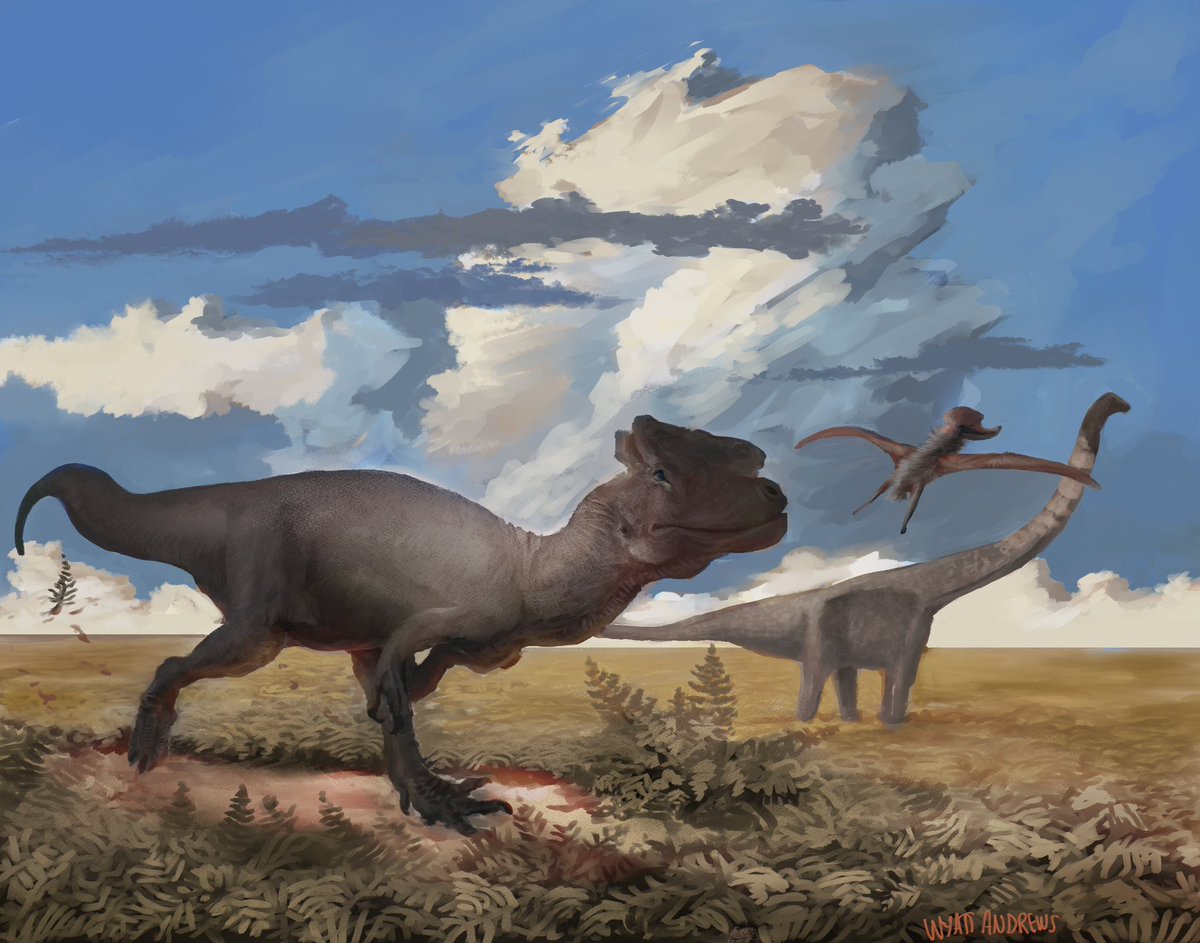 Wyatt-Andrews-Workshop tweet media